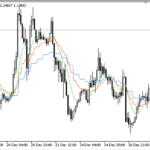 mcginley_dynamic_mtf