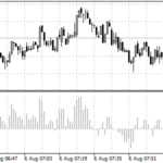 bulls