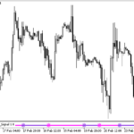 afl_winner-2